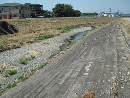 東上線の車窓から見た奇妙な川風景をたどる①_b0206463_179184.jpg