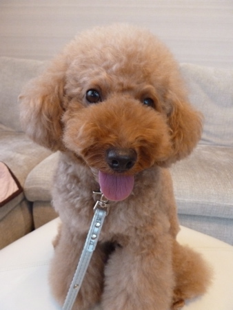 2011.8.12 今日からお休み_a0083571_20365864.jpg