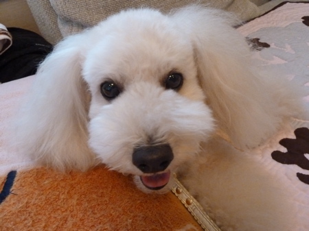 2011.8.12 今日からお休み_a0083571_20373795.jpg
