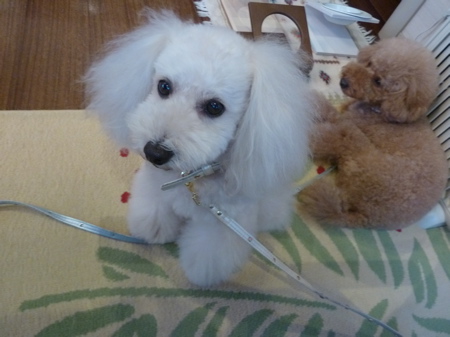 2011.8.12 今日からお休み_a0083571_2038455.jpg