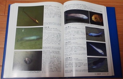 深海生物本いろいろ_f0103872_1648163.jpg