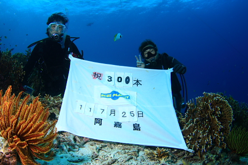 d0114375_025593.jpg