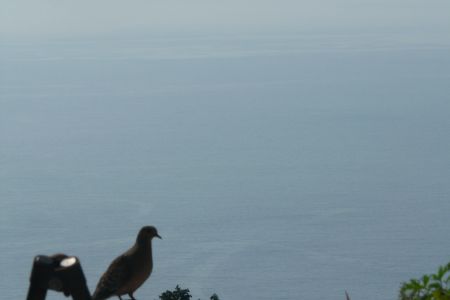 2011年8月12日 ピ~んち!!!_b0098584_724673.jpg