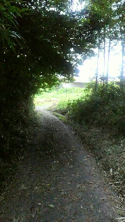 d0247789_5551720.jpg