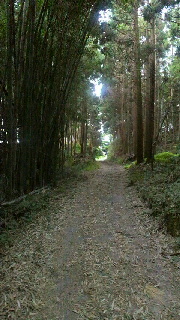 d0247789_5551761.jpg