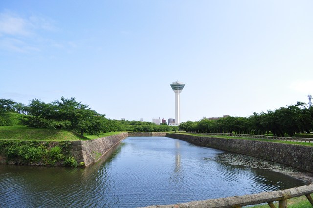 北海道キャンプ③ はなびちゃんとおさんぽ。_a0126590_7515136.jpg