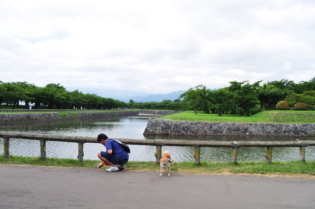 北海道キャンプ③ はなびちゃんとおさんぽ。_a0126590_825852.jpg