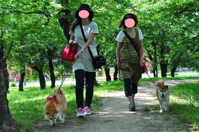 北海道キャンプ③ はなびちゃんとおさんぽ。_a0126590_849457.jpg