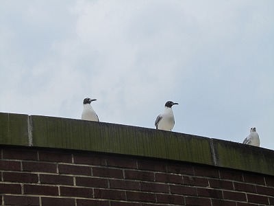 b0209691_001366.jpg