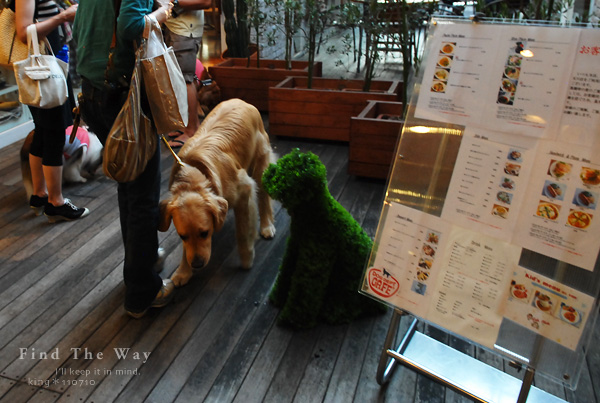 【犬的散歩日和】東京・二子玉川 〜 DOG DEPT. GARDEN CAFE さん_f0054594_5104888.jpg