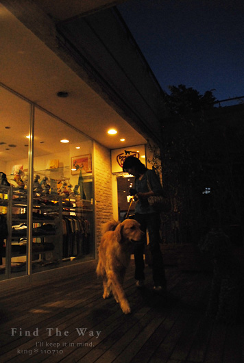 【犬的散歩日和】東京・二子玉川 〜 DOG DEPT. GARDEN CAFE さん_f0054594_5143485.jpg