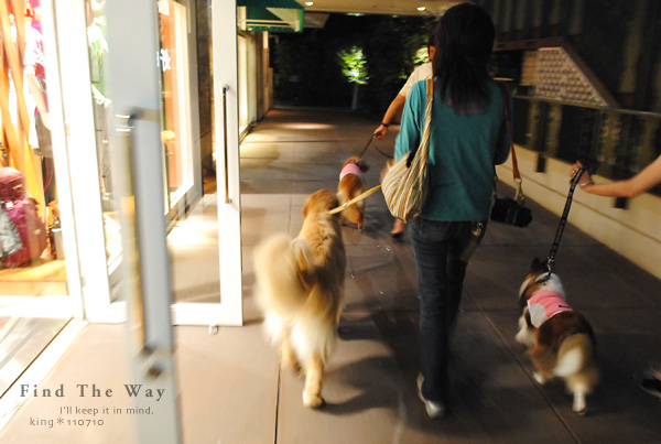 【犬的散歩日和】東京・二子玉川 〜 DOG DEPT. GARDEN CAFE さん_f0054594_5145335.jpg