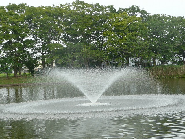 平成２３年８月１２日　　　　乙戸沼公園の噴水_d0249595_1020873.jpg