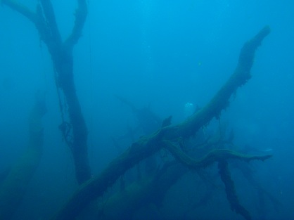 f0238795_2145666.jpg