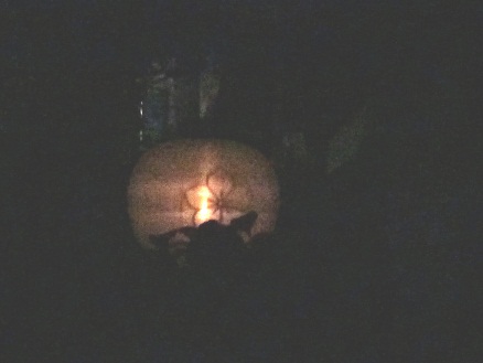 c0036203_22524582.jpg