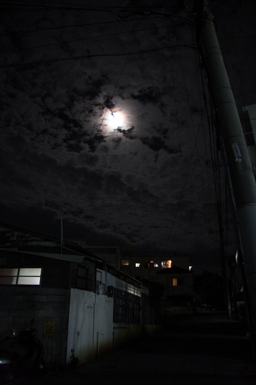 d0136804_86146.jpg