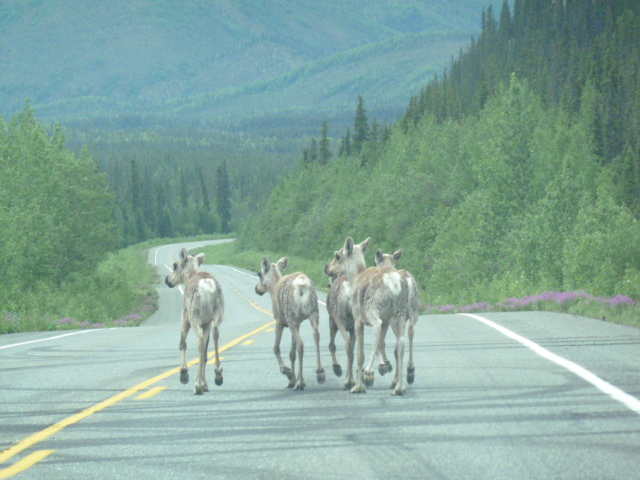 d0143907_103163.jpg