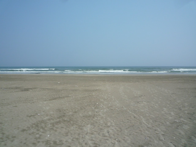 海は広いな寂しいな。_f0180307_14384418.jpg