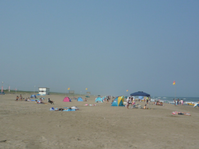 海は広いな寂しいな。_f0180307_14433739.jpg
