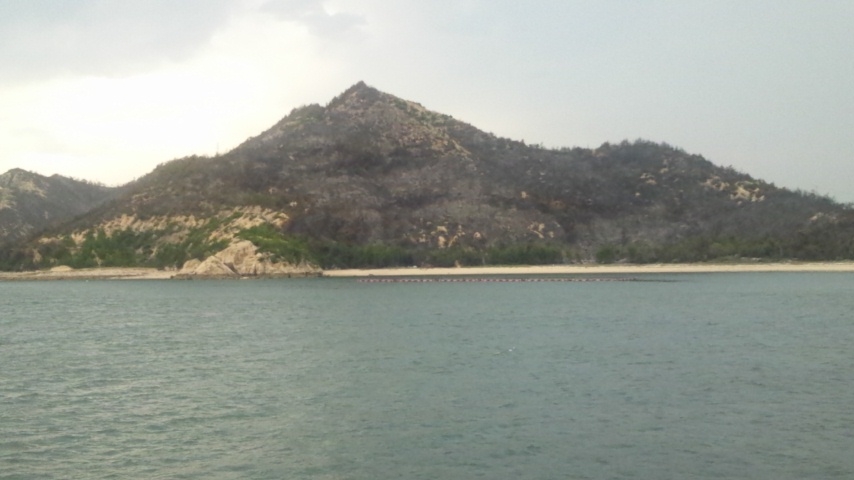 d0146612_013014.jpg