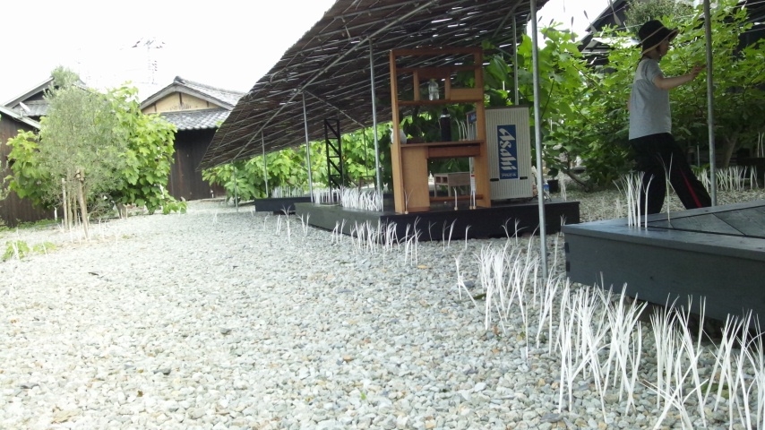 豊島、島キッチンで気流苗を植えよう。16日まで_d0146612_0172421.jpg