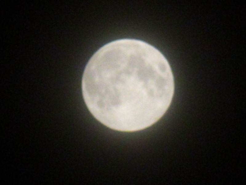 おぼろ月夜_c0025115_23324677.jpg