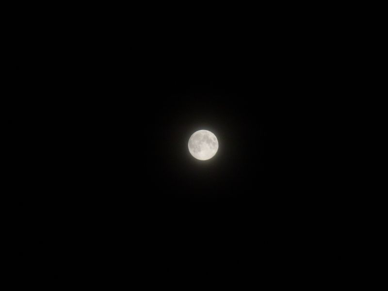 おぼろ月夜_c0025115_2332487.jpg