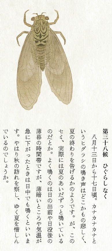 おぼろ月夜_c0025115_23574290.jpg