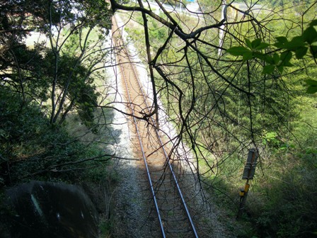 f0213825_13303848.jpg