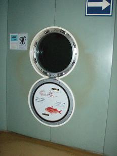 c0208932_16382.jpg