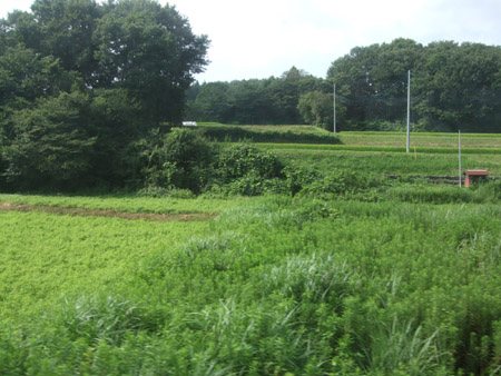 栃木・群馬の旅（１）　～烏山線でタブレット交換を見たの巻～_f0093733_973487.jpg