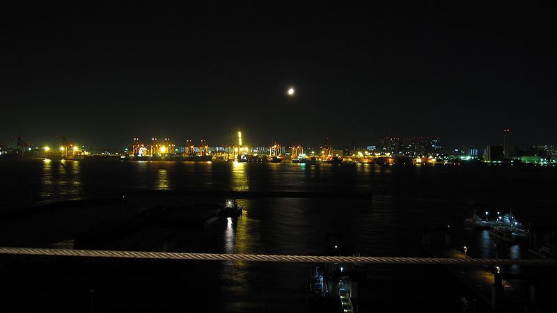 d0034336_315572.jpg