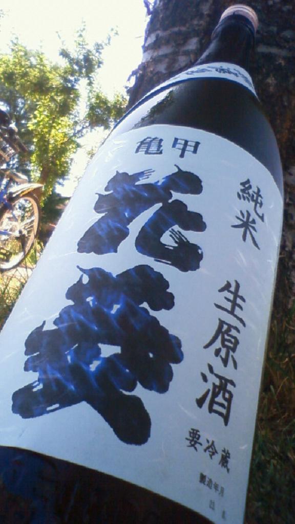 e0173738_10332227.jpg