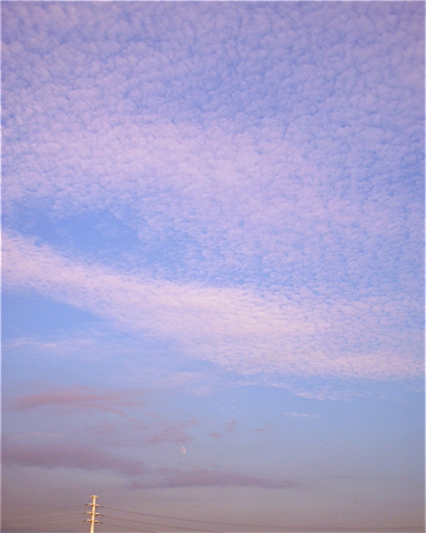 b0168139_21462193.jpg