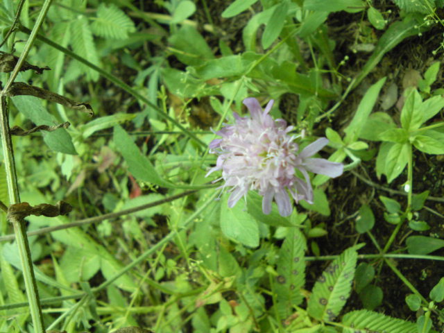 b0200240_21534890.jpg