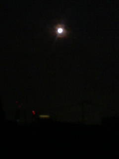 c0182843_1395658.jpg