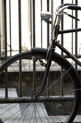 d0060944_22345240.gif