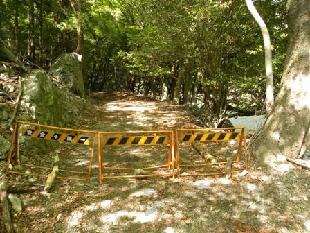 池の谷池(三重県多気郡大台町)　2011年5月14日_e0178757_19593597.jpg