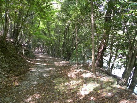 池の谷池(三重県多気郡大台町)　2011年5月14日_e0178757_200119.jpg