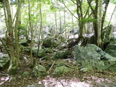 池の谷池(三重県多気郡大台町)　2011年5月14日_e0178757_21443871.jpg