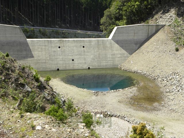 池の谷池(三重県多気郡大台町)　2011年5月14日_e0178757_22124390.jpg