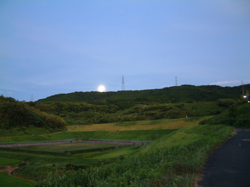 e0033459_22452168.jpg