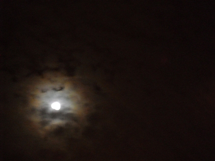 b0206360_19342394.jpg