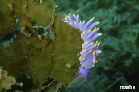 e0158261_61752.jpg