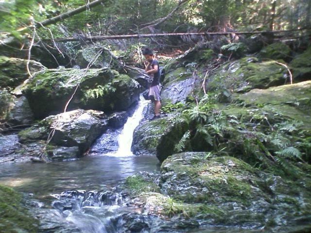 d0240462_2326558.jpg