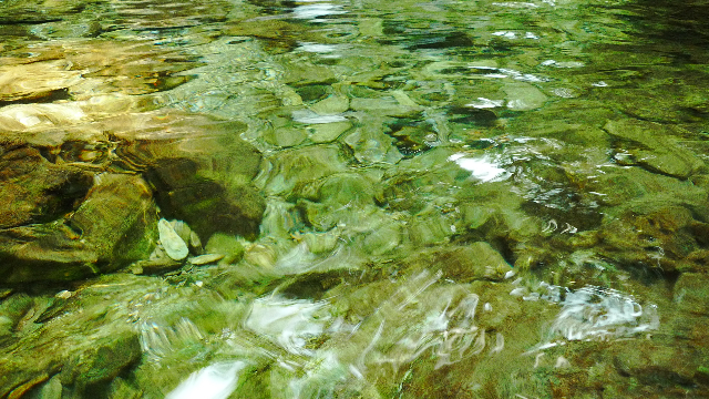 d0240462_2327503.jpg