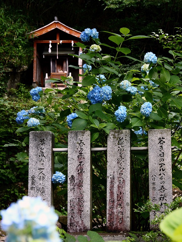 f0234862_16532943.jpg