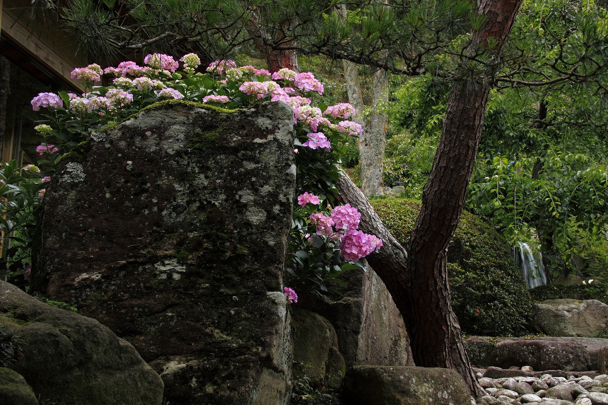f0234862_1653743.jpg