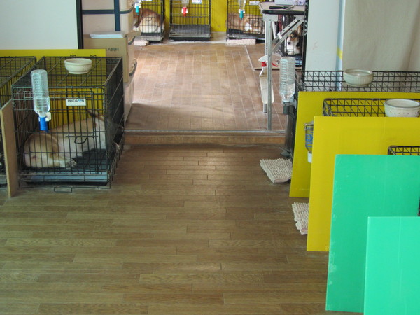 a0085464_22244049.jpg