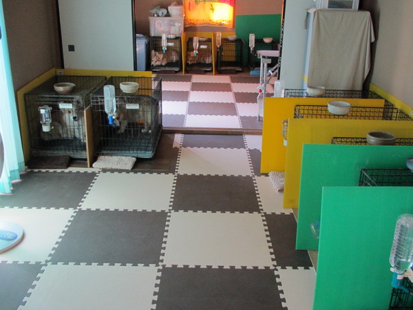 a0085464_22261574.jpg